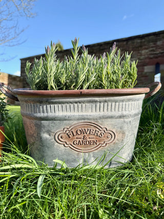 Galvanised Metal Oval Dolly Tub