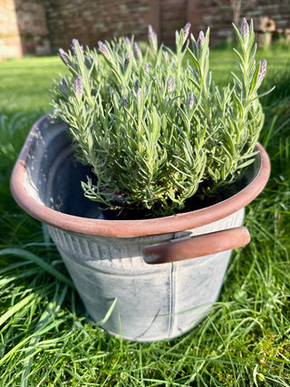 Galvanised Metal Oval Dolly Tub