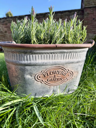 Galvanised Metal Oval Dolly Tub
