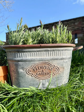 Galvanised Metal Oval Dolly Tub