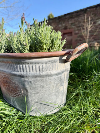 Galvanised Metal Oval Dolly Tub