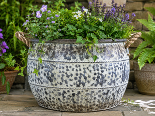 Stylish Planter With Rope Handles