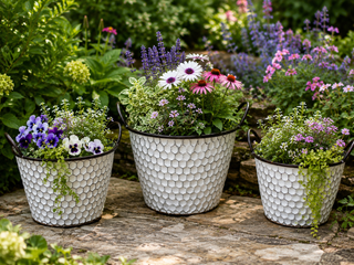 Set of 3 Honey Cone Planters