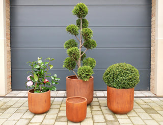 Set of 4 Terracotta Clay Garden Planters