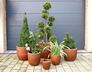 Set of 6 Clay Planters