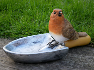 Robin Bird Feeder