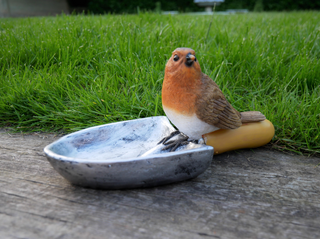 Robin Bird Feeder