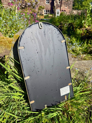 Arch Garden Mirror