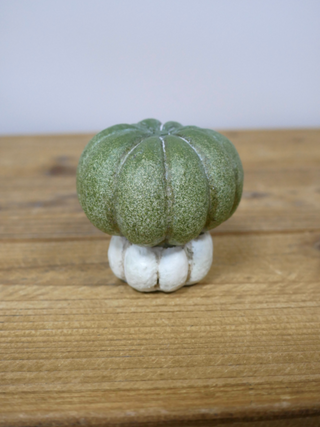 Green & White Resin Pumpkin Ornament
