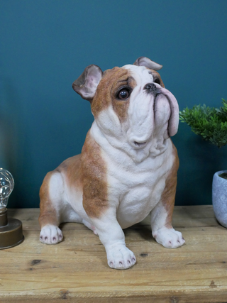Large Sitting British Bulldog Dog Ornament
