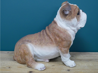 Large Sitting British Bulldog Dog Ornament
