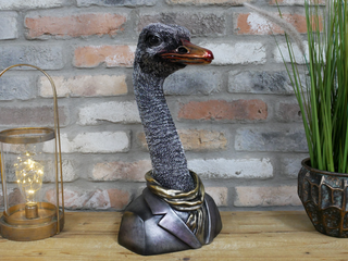 Emu Head Bust