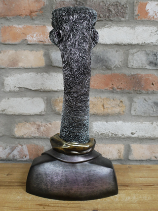 Emu Head Bust