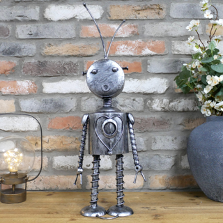 Luna the Metal Robot
