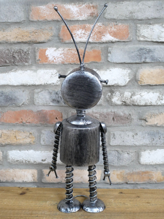 Luna the Metal Robot