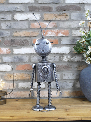 Luna the Metal Robot