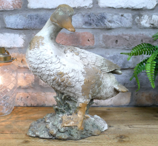 Daisy the Duck