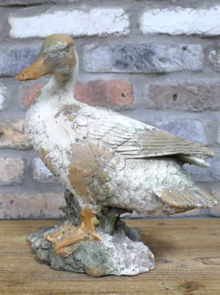 Daisy the Duck