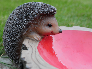 Hedgehog Bird Feeder