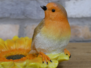 Edwin the Red Robin Bird Feeder