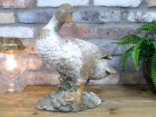 Daisy the Duck