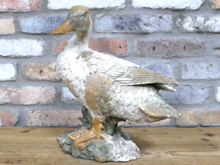 Daisy the Duck