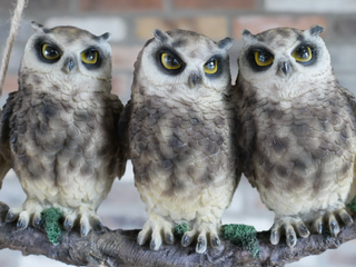 Hanging Resin Trio of Owls