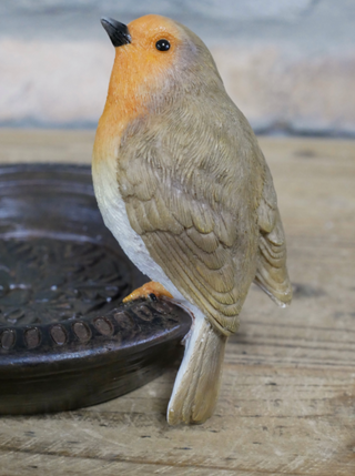 Bertie the Red Robin Bird Feeder