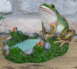 Freddie the Frog