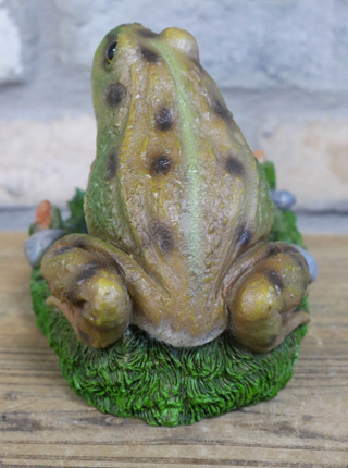 Freddie the Frog