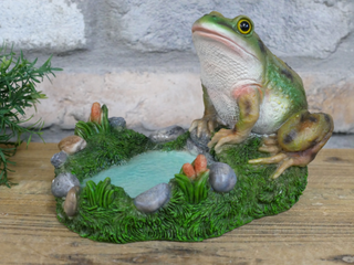 Freddie the Frog