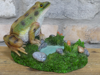 Freddie the Frog