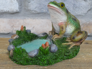 Freddie the Frog