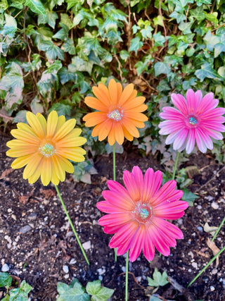 Set of 6 Large Metal Flowers Garden Stakes