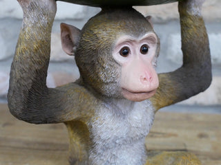 Quirky Monkey Garden Ornament