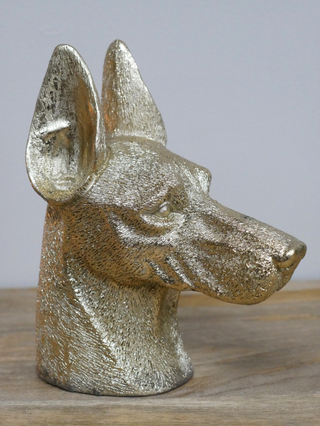 Gold Doberman Dog Head