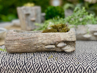 Log Textured Earthy Planter