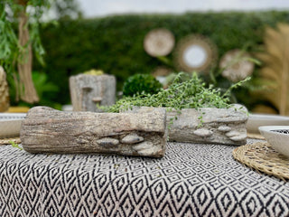 Log Textured Earthy Planter