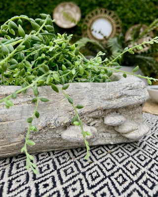 Log Textured Earthy Planter