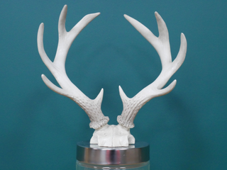 Antler Jar