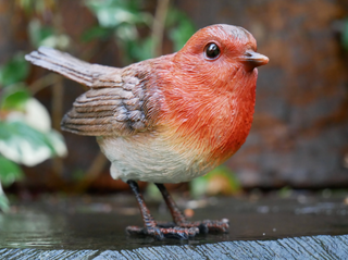 Robin Garden Ornament