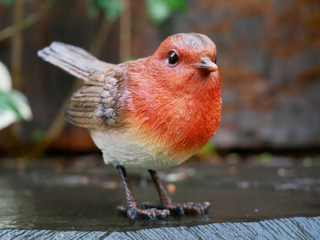 Robin Garden Ornament