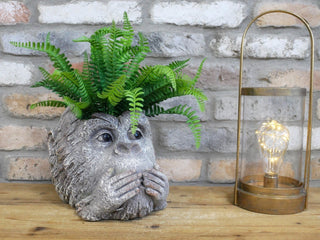 Rustic Monkey Head Planter