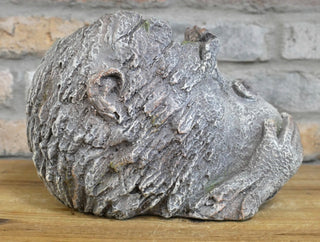 Rustic Monkey Head Planter
