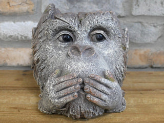 Rustic Monkey Head Planter