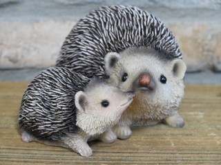 Hazel & Bramble the Hedgehogs