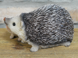 Hazel & Bramble the Hedgehogs