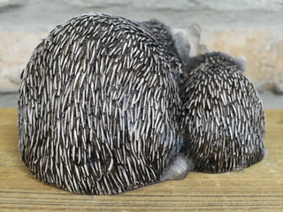 Hazel & Bramble the Hedgehogs