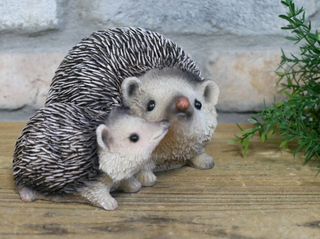 Hazel & Bramble the Hedgehogs