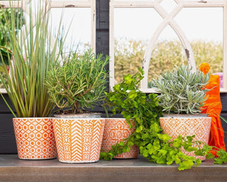 Antique Style Terracotta Ceramic Herb Plant Pots